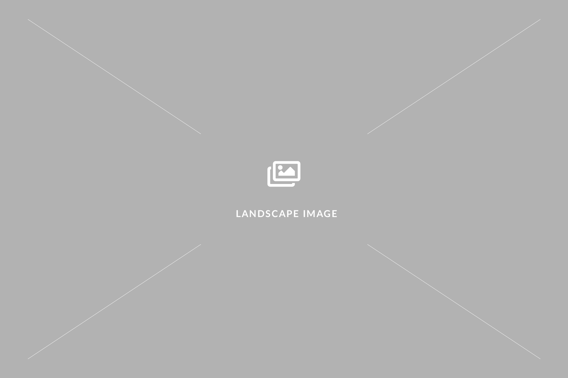 img-placeholder-landscape